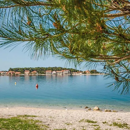 Nice Apartment In Brodarica With House Sea View Apartment