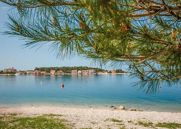 3 Bedroom Cozy In Appartement